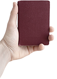 Hand with passport